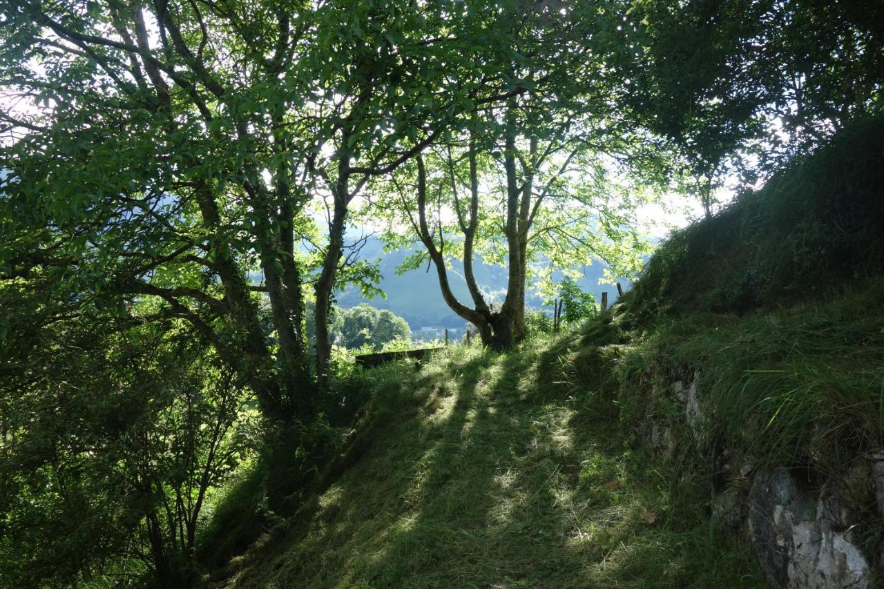 Gite Montagne Et Vie Bedous Exterior foto